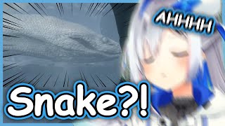 Kanata's Reaction To The First Serpent She Met Was Priceless【Amane Kanata】【Hololive】【Eng Sub】