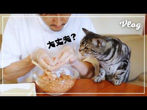 不慣れな手つきで小籠包を包んでいたら、愛猫に心配されましたw【猫とホットプレートごはん】