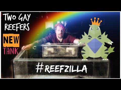 New Tank Build #ReefZilla - The Huge Reef Tank