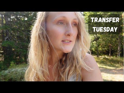 A vet visit & an exciting work update | Transfer Tuesday