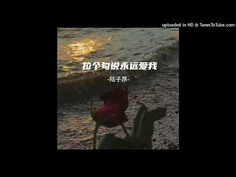 【抖音】王志鹏-拉個勾說永遠愛我