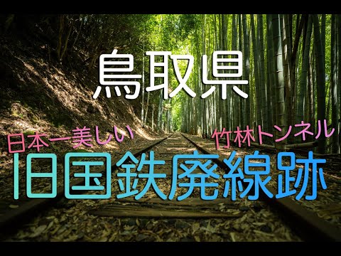 【日本一美しい廃線跡】旧国鉄倉吉線の穴場竹林散歩（鳥取三朝温泉観光） | Japan's Most Beautiful Discontinued Railroad Line Site.