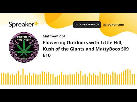 Flowering Outdoors with Little Hill, Kush of the Giants and MattyBoos S09 E10