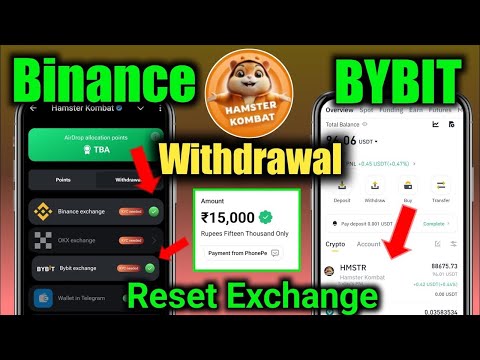 Hamster Kombat Withdrawal🤑 | Profit Per Hour vs Coin Balance | Hamster kombat secret revealed