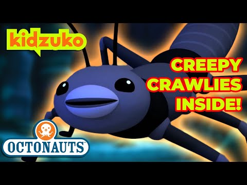 ​@Octonauts - 🌊 Sticky Sea insects 🦗 | Full Episodes Marathon | @Kidzuko