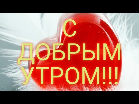 С ДОБРЫМ УТРОМ!!!