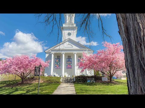 Countryside Spring 🌱 Rural Life + Property Renovations