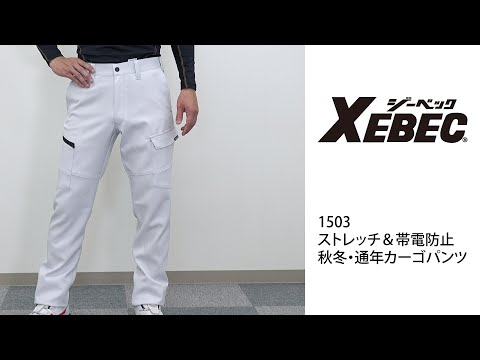 【XEBEC 1503 カーゴパンツ】 ワーク・キング 試着動画