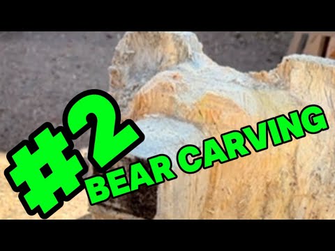 Wood Carving Watch a Bear Come to Life!