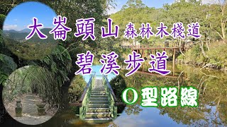 大崙頭山森林木棧道，碧溪步道O型路線。風衝林平台，乘風堡觀景塔，無敵展望。竹林小徑，清幽寧靜的大崙湖。小百岳編號8大崙頭山。