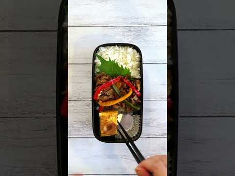 How to pack Japanese Bento🍱 Rice Magic Bento Lunch Box #130 ~Slender Rectangular Bento Box~