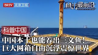 中国本土也能养出三文鱼！独创5万方自由沉浮深海网箱，年产1500吨品质远超挪威，独特设计原理公开震惊世界！【科普中国直击最前沿】