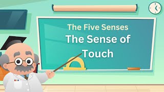 Fun Learning For Kids | Children's Educational Video Kids Learn About Senses #kidslearning #kids