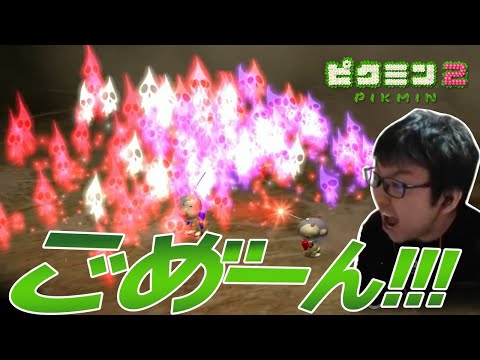 【ぱせりまん】下手くそプレイや初見殺しなど【ピクミン２】