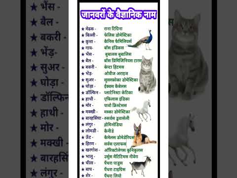 Most_Important_Gk_questions_#upsc_#ssc#generalknowledge_#shorts_#lucent_#gk_#question_#ias_#ips