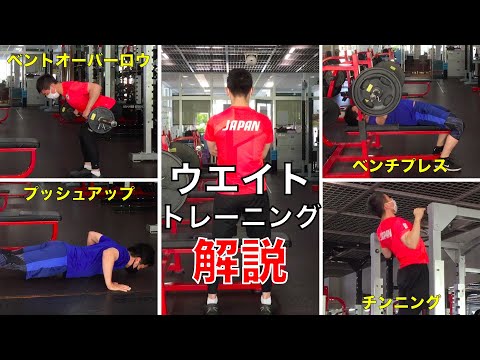 【筋トレ】上半身のウエイトトレーニング①