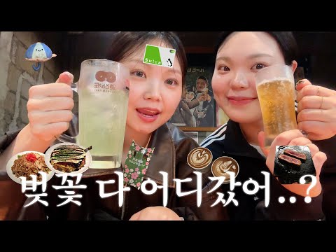 벚꽃 실종 사건❗️비로 시작해서 쇼핑으로 끝나는 교토 오사카 3박 4일 브이로그✈️ㅣ교토 오사카 맛집, 청수사, 헵파이브, 도톤보리, 돈키호테 다이소 쇼핑템