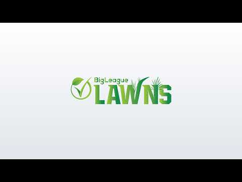 Big League Lawns Live Stream