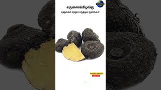 கருணைக்கிழங்கு Elephant Yam #karunaikilangu #karunaikizhangu