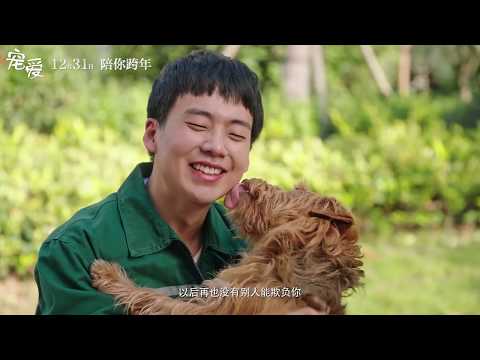 《宠爱 Adoring》2019 電影 终极预告 | 于和伟 吴磊 张子枫 钟汉良 陈伟霆 钟楚曦