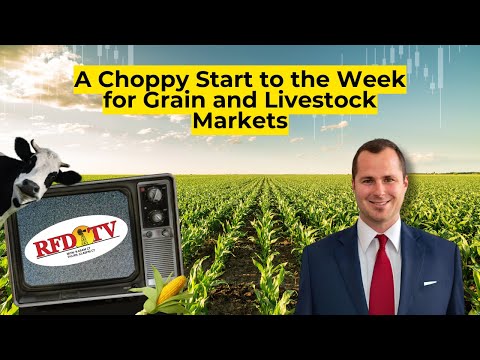 A Choppy Start to the Week for Grain and Livestock Markets