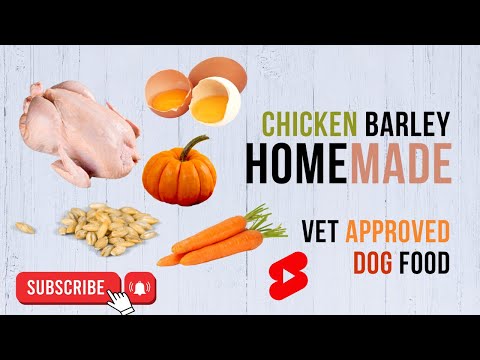 Chicken Barley | homemade | vet approved | dog food | Healthy | blogsbyibrar | DIY dog food