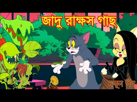 tom and jerry | tom and jerry bangla | cartoon | tom and jerry cartoon | bangla tom and jerry