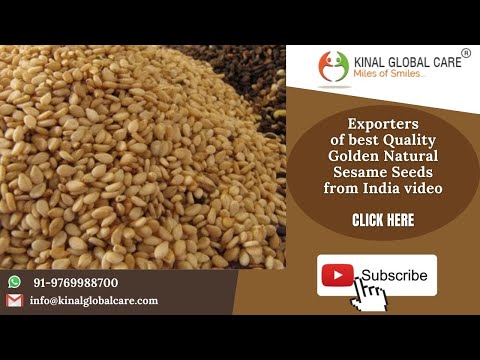 Golden Natural Sesame Seeds