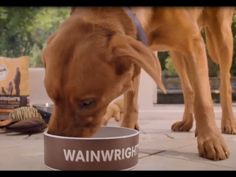 Pets at Home TV advert 2015 - Wainwrights Pet Food #wainwrightsdifference