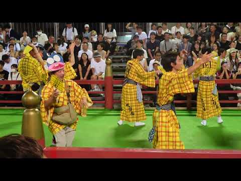 【2024/8/13】阿波踊り2024　あわぎん南内町演舞場　レレレの連【4K】