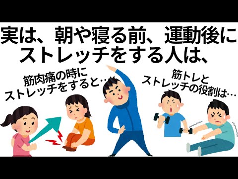 【ストレッチは無視できない⁉️】筋トレのためになる雑学まとめ