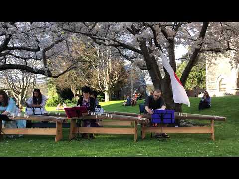 Hanami 2018 (part 2)