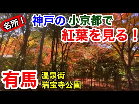 【神戸観光】神戸の小京都で紅葉を見る！紅葉狩り in有馬 2020秋