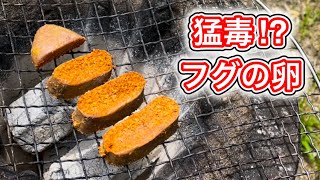 幻の解毒料理【フグの子糠漬け】を炭火焼きで炙ったらうますぎた