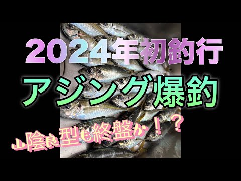 【アジング】２０２４年初釣行で爆釣！今年はいい釣果に恵まれるかも！？山陰アジ産卵期に突入か？良型アジの旬は終盤かも！？