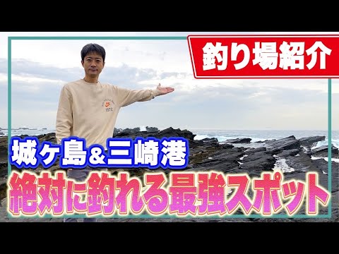 【城ヶ島】磯でメジナやアオリイカ 青物が釣れる！三崎港や通り矢堤防など家族向け釣り場も紹介