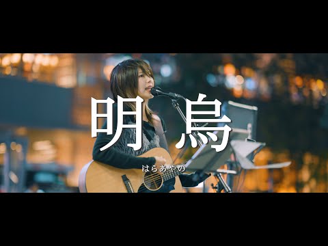 明烏 - はらあやの  /  in 新宿路上ライブ