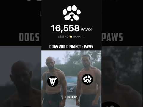 DOGS twin brother PAWS