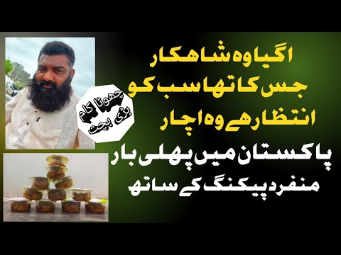 Bhut hi Kam investment pe apna kam shuru kren || Kashif javeed || Small business tips💡