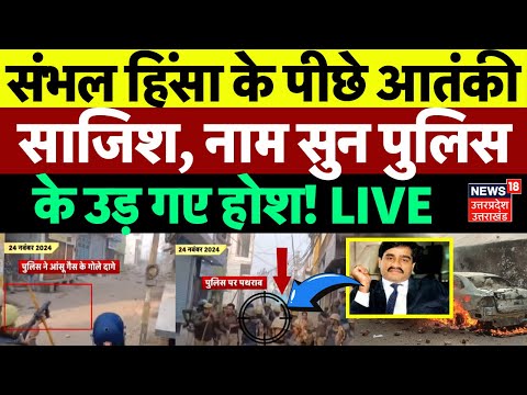 Sambhal Violence Updates LIVE: संभल हिंसा के पीछे कौन? | Jama Masjid | Dawood | Shariq Satha |Police