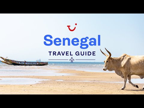 Travel Guide to Senegal, Africa | TUI