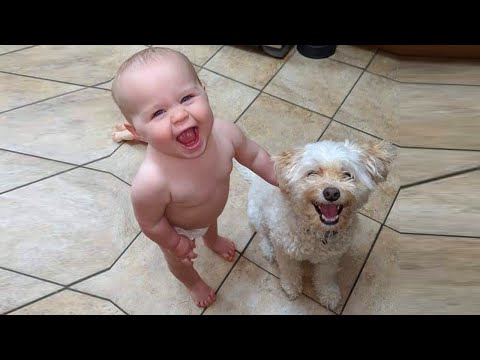 Perros felices & Bebés Jugando con la manguera de agua - más feliz del vídeo nunca!