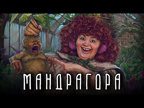 МАНДРАГОРА | Растение, которое умеет кричать