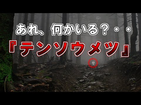 山道をあるいてるとなんかいた、、『テンソウメツ』【2ch怖いスレ】