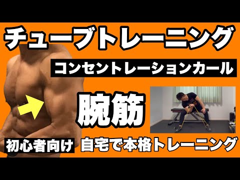 【腕】腕相撲が強くなる、腕トレの強度アップ！初心者向けチューブトレーニング