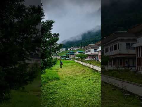 A little trim towards beautification #midcloudstudio #timelapse #bhutan