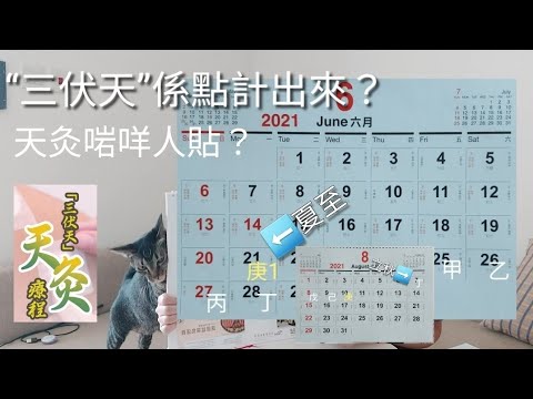 天灸三伏天點計出來？點解年年唔同，每伏之間又不同日數？天灸適合咩人？