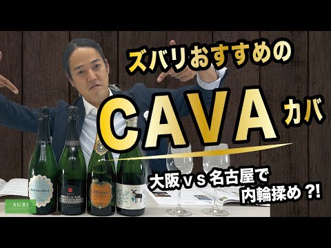 【安旨ワイン】ズバリおすすめのCAVA / カバ　　大阪VS名古屋で内輪もめ?!