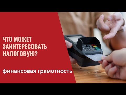 Финансовая грамотность. Что может заинтересовать налоговую?