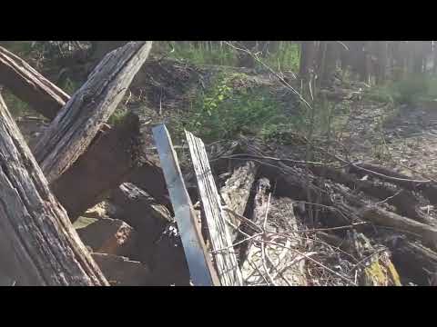 Abandoned Cabin w/ Stone Foundation & Caved in Roof